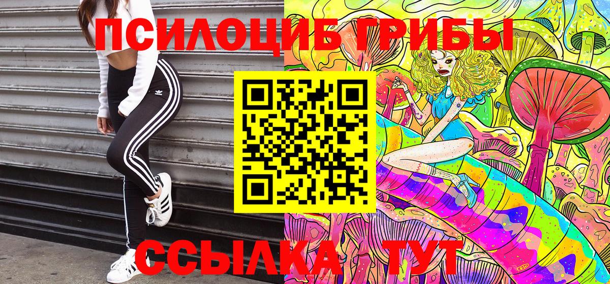 Галлюциногенные грибы Psilocybine cubensis Лесосибирск